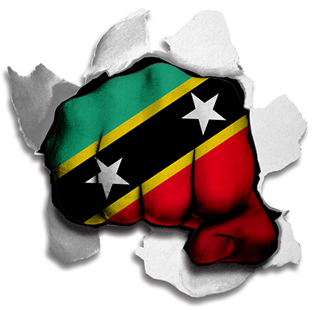 Fist Saint Kitts and Nevis Flag Logo vinyl decal